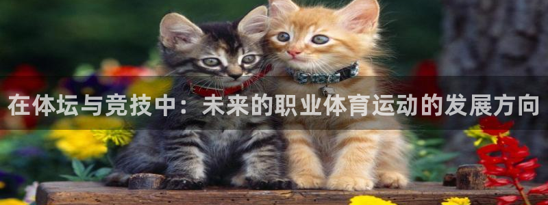 JJB竞技宝官方正版app娱乐首页网站大全:在体坛与竞技中: