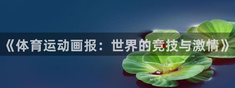 JJB竞技宝官网下载是干嘛的公司:《体育运动画报:世界的竞技