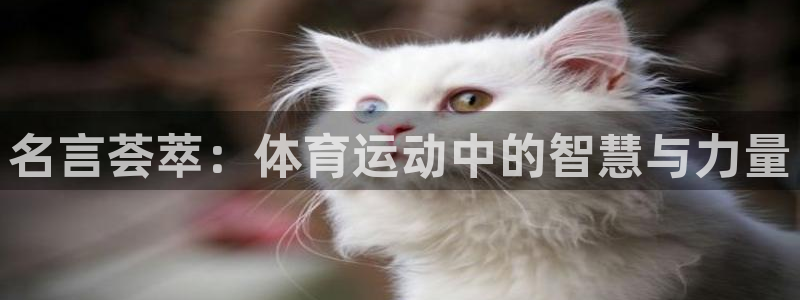 JJB竞技宝官网下载联系电话:名言荟萃:体育运动中的智慧与力